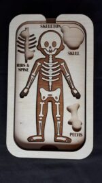 Ficha de Anatomía para Cortadora Láser - Archivos de Diseño Personalizables para Proyectos Creativos - Imagen 7