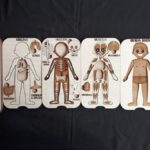 Ficha de Anatomía para Cortadora Láser - Archivos de Diseño Personalizables para Proyectos Creativos