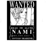 Set de Pósters de Se Busca "One Piece" para Decoración con Corte Láser - Imagen 4