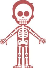 Juego de anatomía infantil para corte láser - Crea tu propio juguete con archivo DXF único - Imagen 3