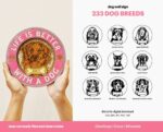 Juego de 233 letreros de pared SVG personalizados para perros - Arte de pared cortado con láser y regalo ideal