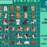 Paquete SVG de Aretes de Perro Divertidos | Archivos Cortados con Láser para Aretes de Animales