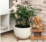 Archivo SVG de Proyecto de Corte Láser: Casa de Plantas en Madera Contrachapada 3D Ready to Use - Imagen 7