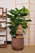 Archivo SVG de Proyecto de Corte Láser: Casa de Plantas en Madera Contrachapada 3D Ready to Use - Imagen 8