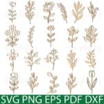 Paquete SVG de Flores Silvestres para Corte Láser - Archivos Botánicos IDEALES para Manualidades - Imagen 5