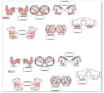 Servilleteros Vaqueros para Corte Láser CNC - Archivos DXF, AI, PDF y CDR para Descarga Instantánea - Imagen 4