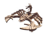 Comando Wolf ZOIDS | Diseño para Corte y Grabado Láser CNC Personalizado - Imagen 4