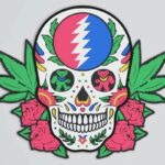 Vector de Calavera Grateful Dead para Corte Láser - Diseño Editable y Único