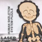 Esqueleto humano para Aprendizaje. Rompecabezas, Archivos vector SVG CDR Corte láser y grabado - Imagen 4