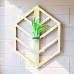 Expositor colgante para plantas aéreas — archivo para corte láser (SVG, DXF, CDR, AI)